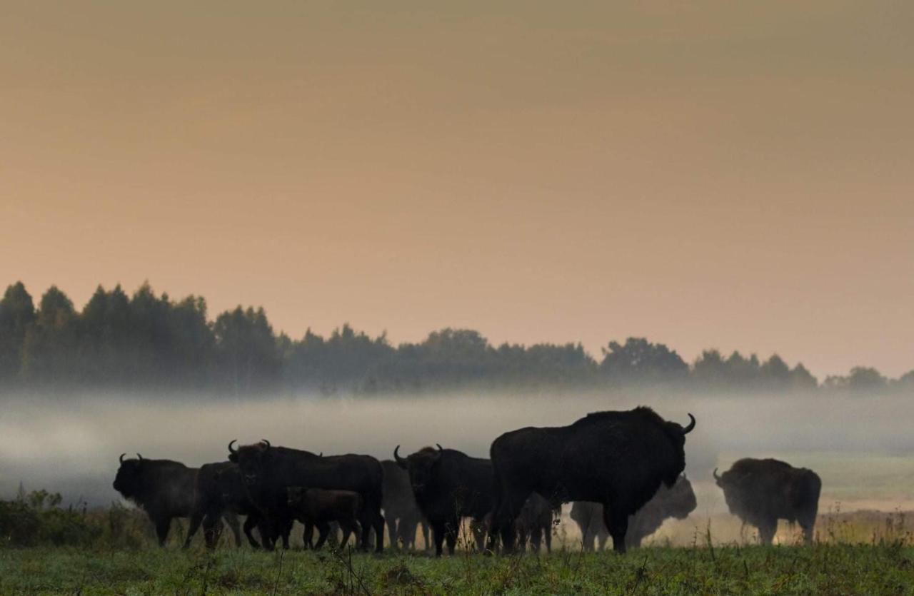 Ferienwohnung Zubrowe Siolo - Dom Nad Lakami Białowieża Exterior foto